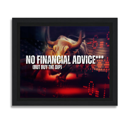 (No) Financial advice